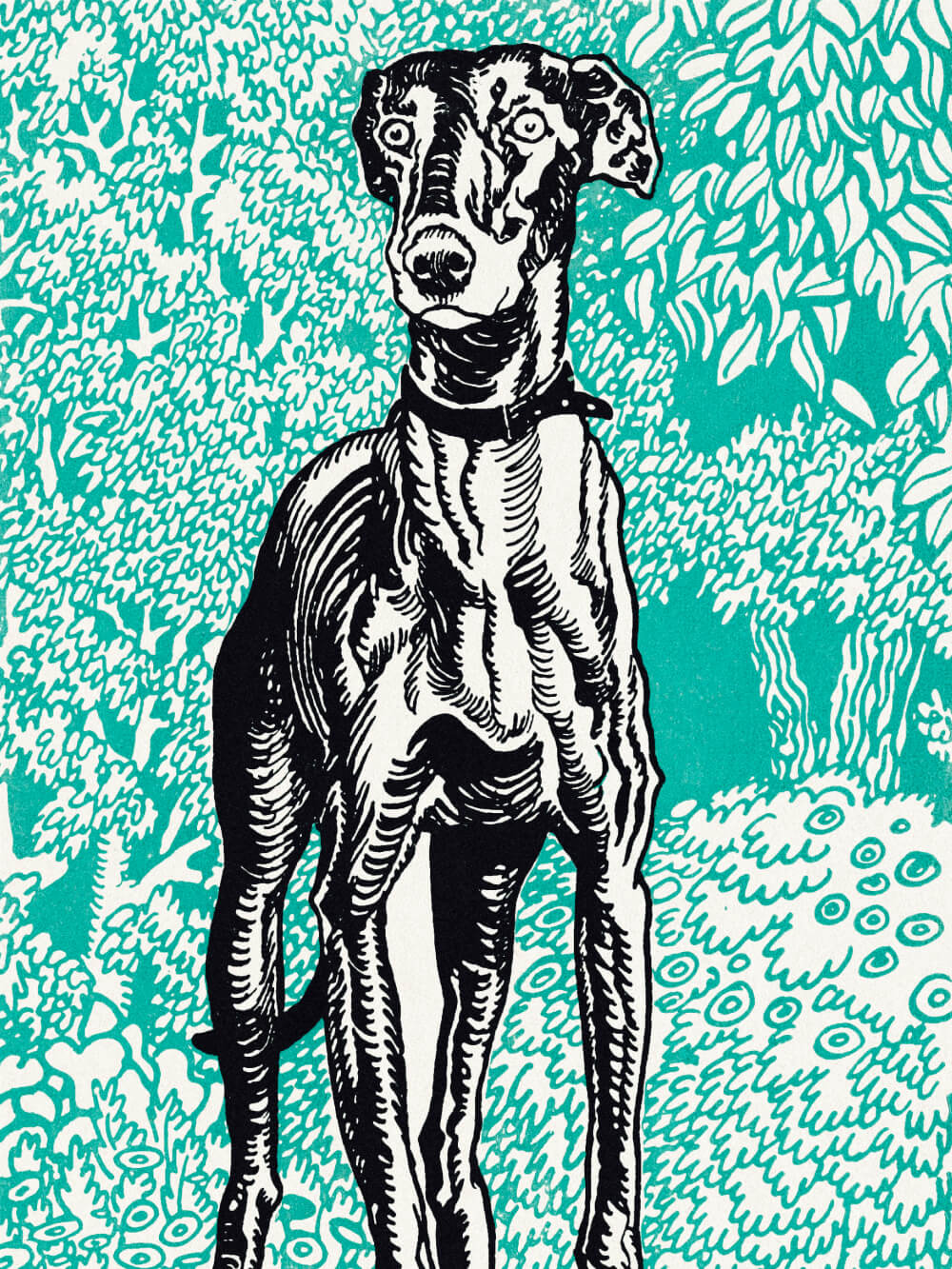 Dog Sketch