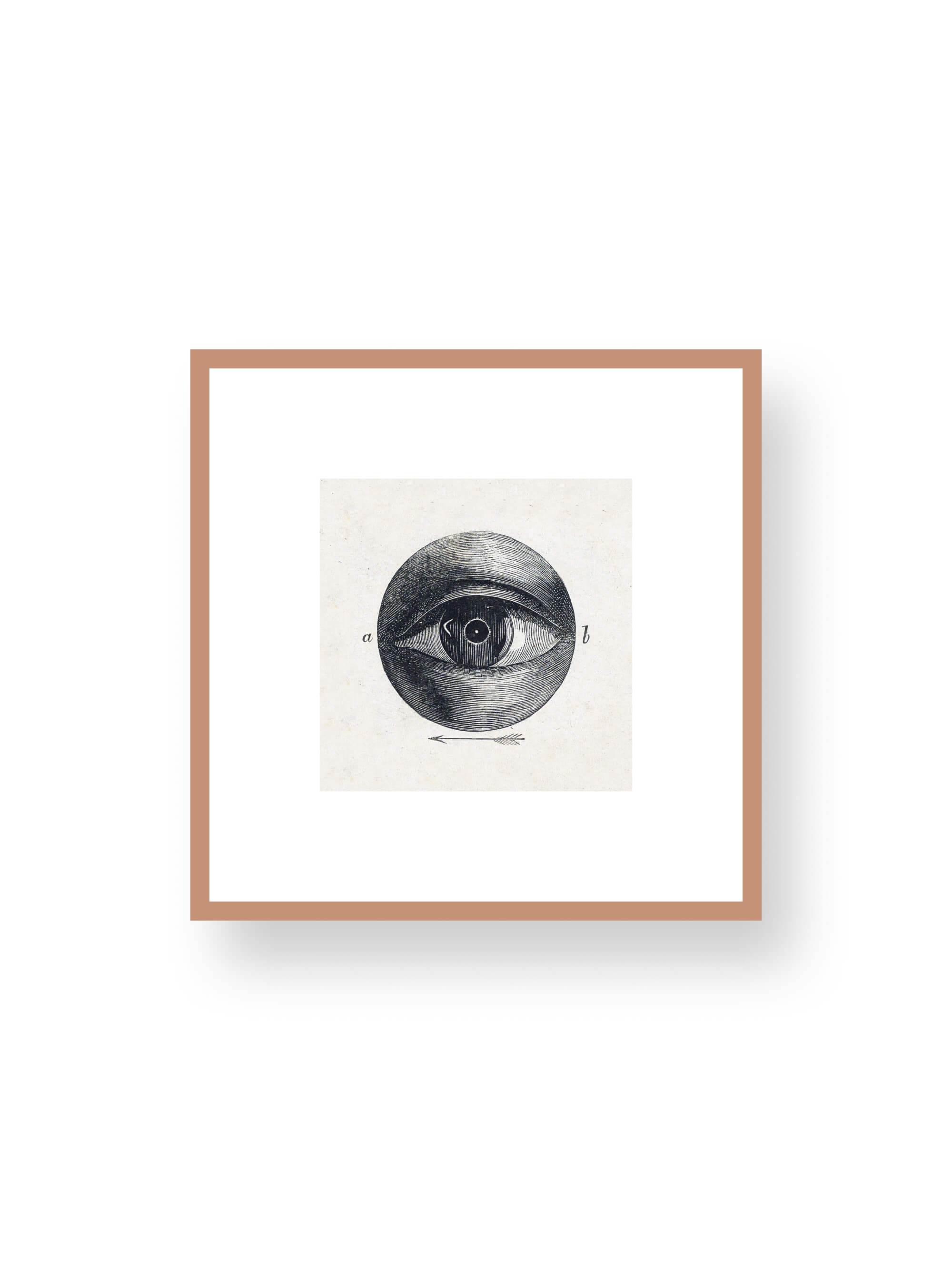 Silent Eye