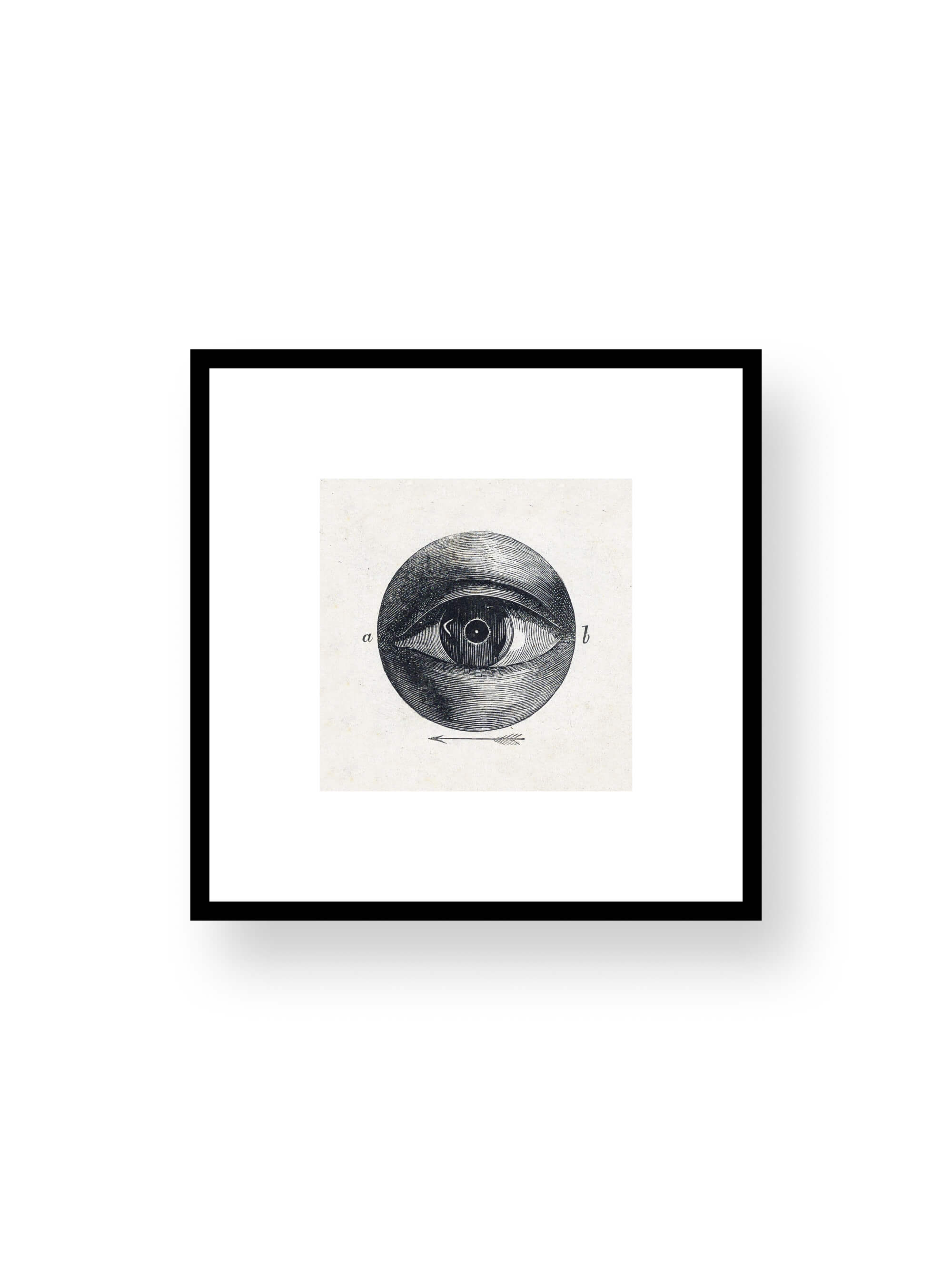 Silent Eye