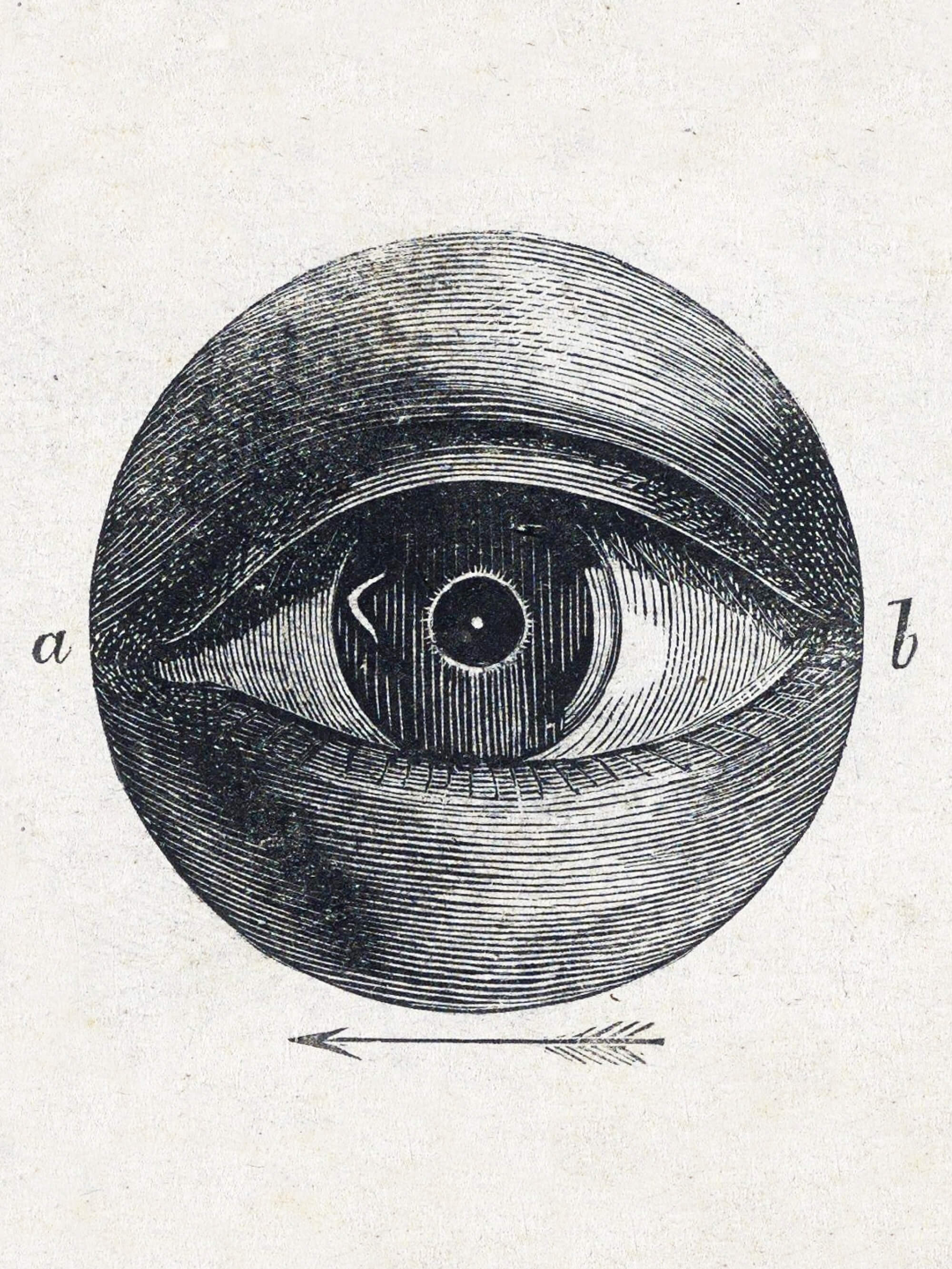 Silent Eye