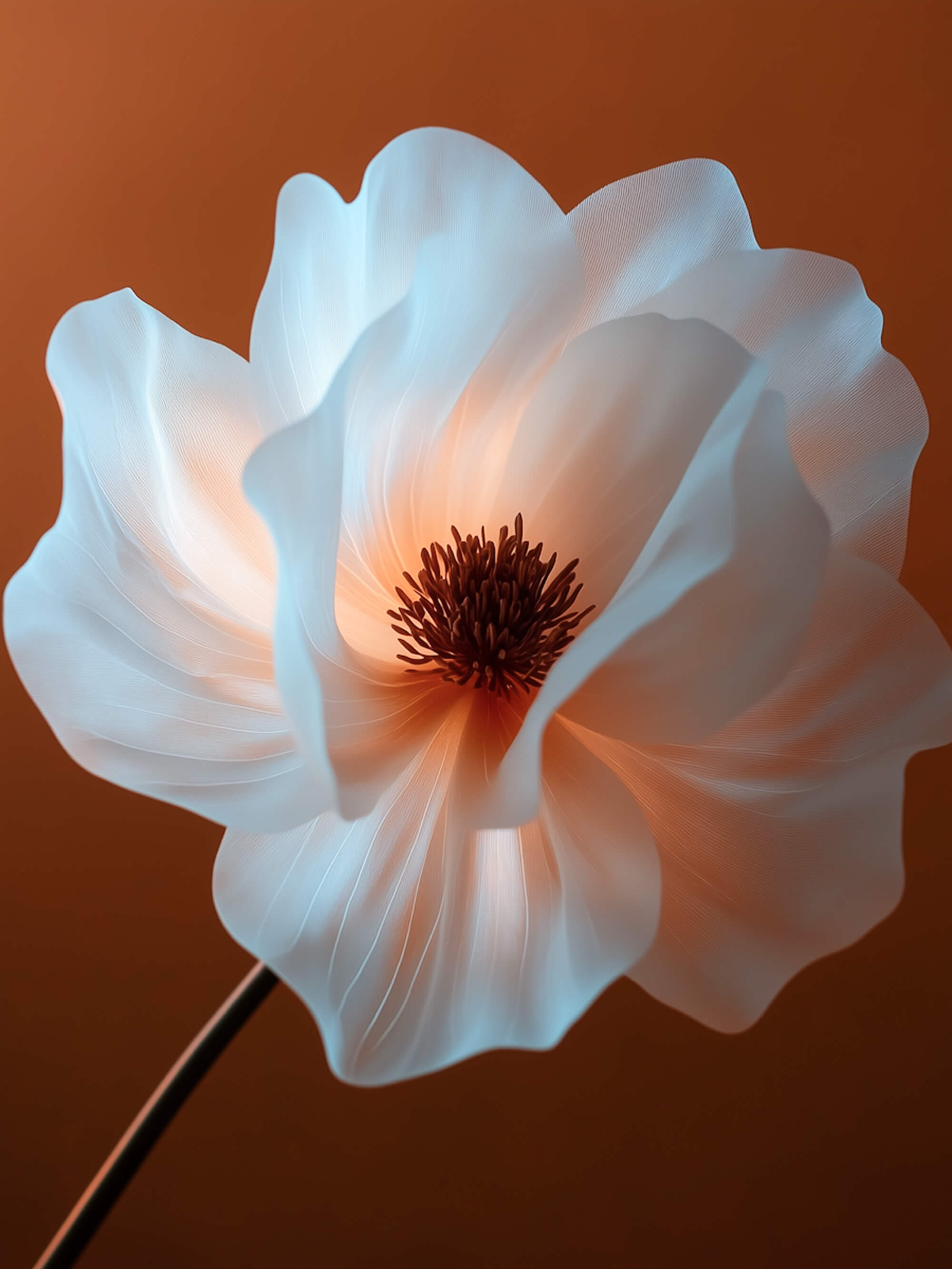 Soft Bloom